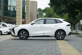 2024款东风风行雷霆