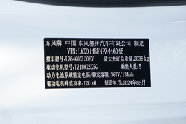 2024款东风风行雷霆