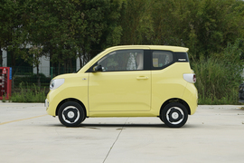 2024款五菱宏光MINIEV