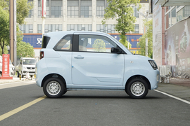 2022款东风小康风光MINIEV