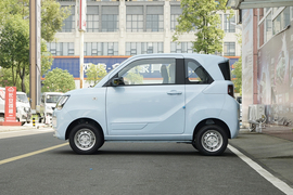 2022款东风小康风光MINIEV