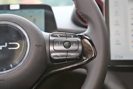 2025款比亚迪海豚