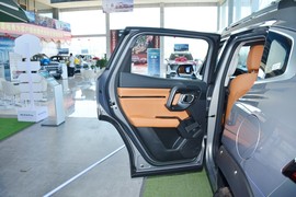 2024款哈弗二代大狗新能源