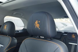 2023款东风风行游艇