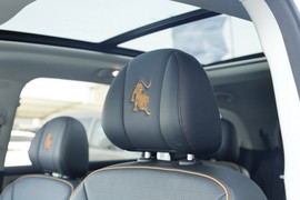 2023款东风风行游艇