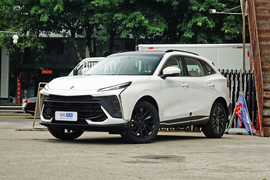 2024款东风风行T5