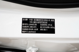 2024款东风风行T5