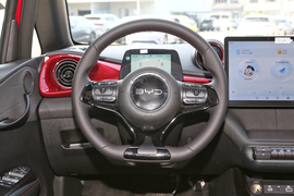 2025款比亚迪海豚