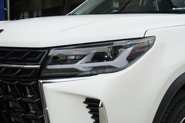 2024款东风风行T5