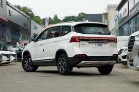 2024款东风风行T5