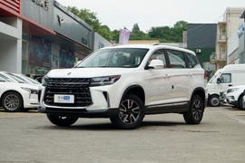 2024款东风风行T5