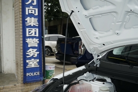 2024款东风风行T5