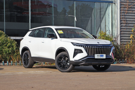 2025款东风风神皓极