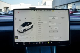 2025款特斯拉Model