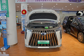 2025款广汽传祺E9