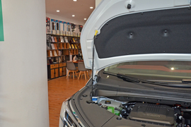 2025款广汽传祺E9