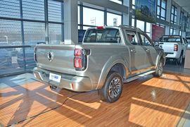 2023款长城山海炮