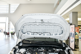 2025款丰田锋兰达