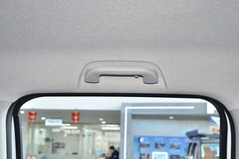 2024款长城金刚炮