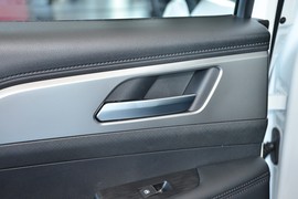 2024款长城金刚炮