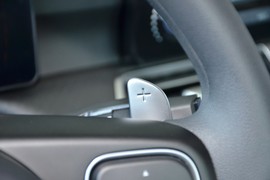 2024款长城金刚炮