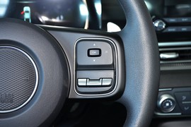 2024款长城金刚炮