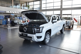 2024款长城金刚炮