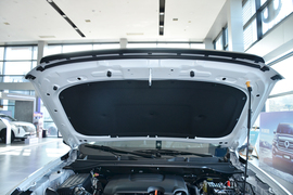 2024款长城金刚炮