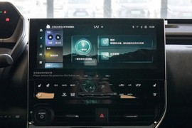 2025款丰田铂智4X