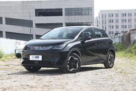 2025款比亚迪海豚