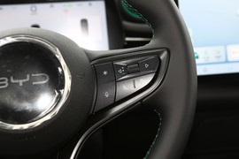 2025款比亚迪海豚