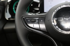 2025款比亚迪海豚