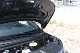 2025款比亚迪海豚