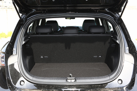 2025款比亚迪海豚