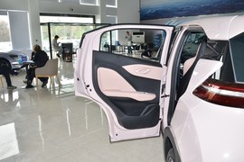 2025款比亚迪海鸥