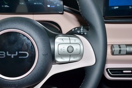 2025款比亚迪海鸥