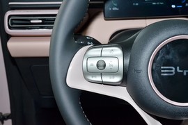 2025款比亚迪海鸥