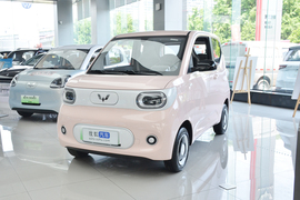 2024款五菱宏光MINIEV