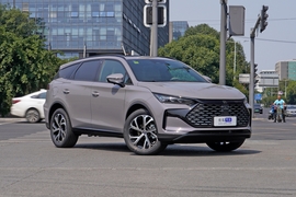 2025款比亚迪唐新能源