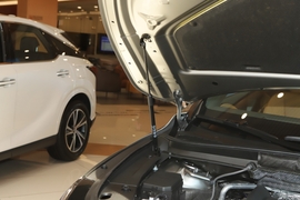 2025款雷克萨斯RX