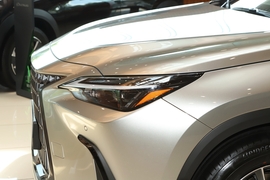 2025款雷克萨斯NX