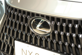 2025款雷克萨斯NX