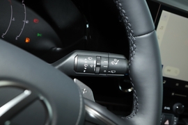 2025款雷克萨斯NX