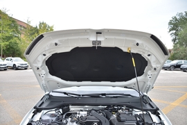 2026款大众-速腾