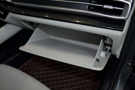 2025款起亚狮铂拓界