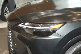 2026款雷克萨斯RX300