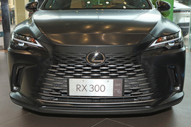 2026款雷克萨斯RX300