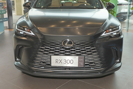 2026款雷克萨斯RX300