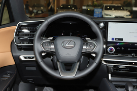 2026款雷克萨斯RX300