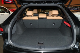 2026款雷克萨斯RX300